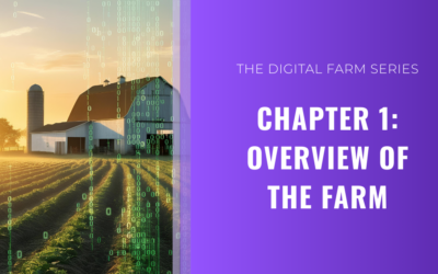 Chapter 1: The Sectors and Structure Overview